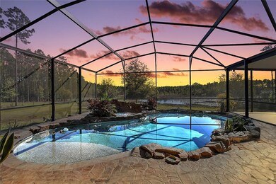 Pool and Lanai