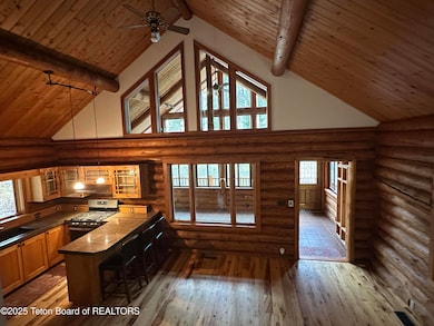 3950 Redtop Ln, Jackson, WY 83001 - photo 3