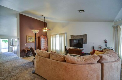 living room-3-1
