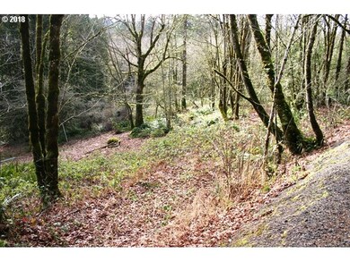 6626 NW Thompson Rd, Portland, OR 97229 - photo 5