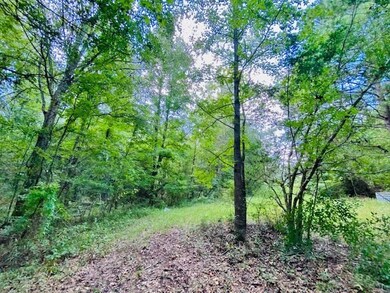 000 China Grove Rd, Tylertown, MS 39667 - photo 7