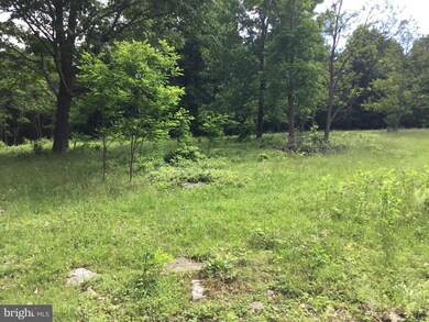 7624 Snowy Mountain Rd, Circleville, WV 26804 - photo 7