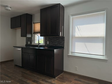Kitchen with sink, stainless steel dishwasher, decorative backsplash, and dark hardwood / wood-style flooring