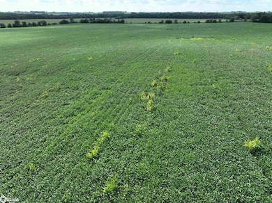 0 Racine Ave unit NOC6332170, Quasqueton, IA 50682 - photo 6