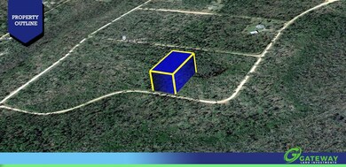 0 Yvette Dr unit 25692877, Alford, FL 32420 - photo 3