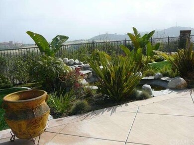 backyard view