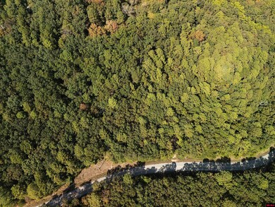 001-01299-000 Dwelle Rd, Norfork, AR 72658 - photo 4