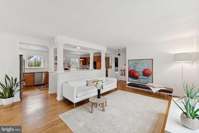 2704 Ross Rd, Chevy Chase, MD 20815 - photo 3