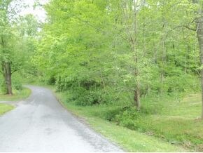 land with 4025 and street