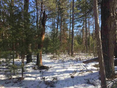 L41 Cranberry Creek Rd, Cutler, WI 54618 - photo 3