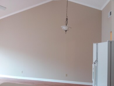 dejong ceiling fan