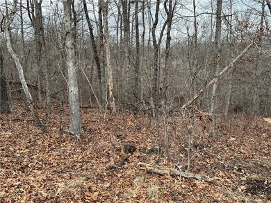 Gently Sloping Lot.