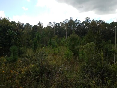 0 Spring Dr unit 905141, Middleburg, FL 32068 - photo 4