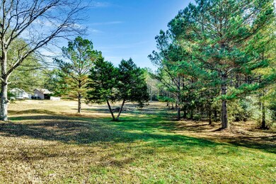 DJI_0311
