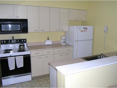 28 Packards Road - 301 unit 301, Waterville Valley, NH 03215 - photo 5