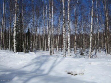 Winter Lot View