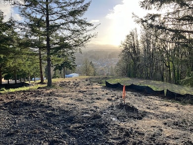 0 NE Center St unit 2 430429617, Sheridan, OR 97378 - photo 6