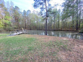 TBD Millers Ln Irene Rd, McComb, MS 39648 - photo 6