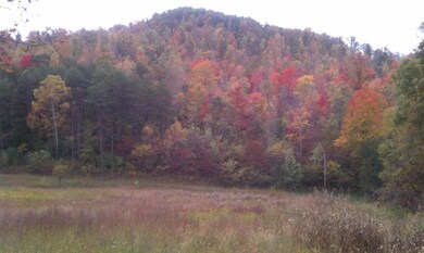 1 Bolton Hollow Rd, Somerset, KY 42501 - photo 4