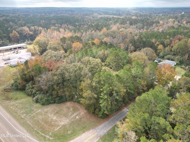 0 Dear Dr, Mendenhall, MS 39114 - photo 2