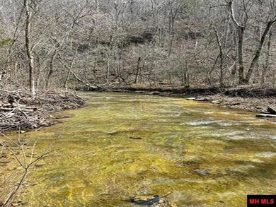 001-04964-003 Jimmie Creek Trail, Yellville, AR 72687 - photo 2