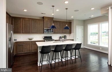 23518 Overlook Park Dr unit 10, Clarksburg, MD 20871 - photo 4