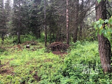 15 Heidi Ln, Cascade, ID 83611 - photo 7