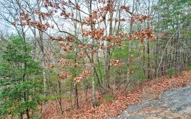 Additional View