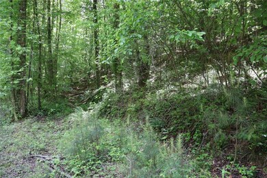 View of local wilderness