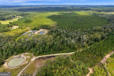 1139 Henry Walcott Rd NW, Ludowici, GA 31316 - photo 5