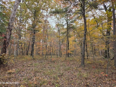 0 Divide Tr unit 1290281, Monterey, TN 38574 - photo 2