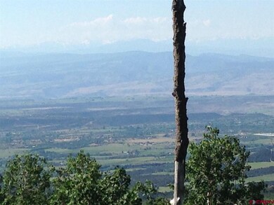 25889 Highway 65, Cedaredge, CO 81413 - photo 6