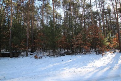 IMG_9033