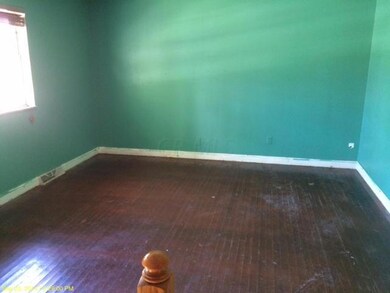 photo 3 (13)