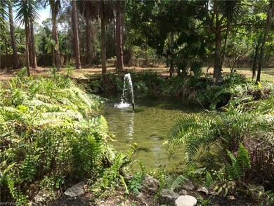 5960 Star Grass Ln, Naples, FL 34116 - photo 7