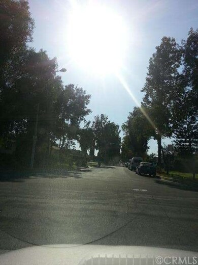 Tree lined street