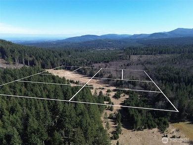 0 NKA Deer Park Rd, Port Angeles, WA 98362 - photo 6