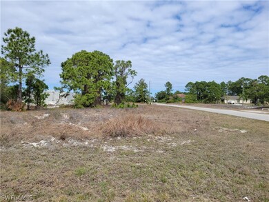 3000 20th St SW - Corner lot - very little clearin