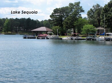 Lake Sequoia 2