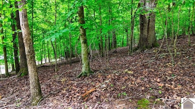 0 Overlook Dr unit Lots 42 & 39 Woodlan, Cadiz, KY 42211 - photo 7