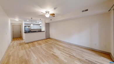 1521 Virginia Ave unit 4, Charlottesville, VA 22903 - photo 4
