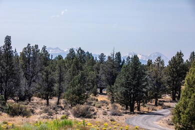2020_07_22_23185_timland_ln-21