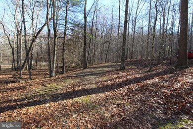 Lot C-54 Trout Stream Rd, Lost River, WV 26810 - photo 5