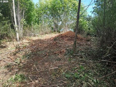 0 Bear Rd unit 653700348, Seaside, OR 97138 - photo 5