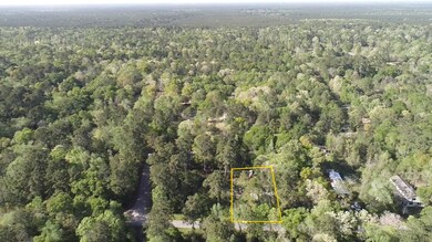 21621 Walker Dr, Conroe, TX 77306 - photo 2