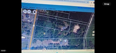 Satellite View