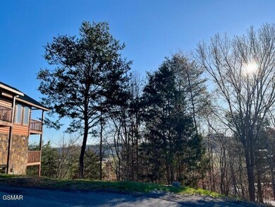 Lot 32 Blueberry Ridge Way, Pigeon Forge, TN 37863 - photo 7