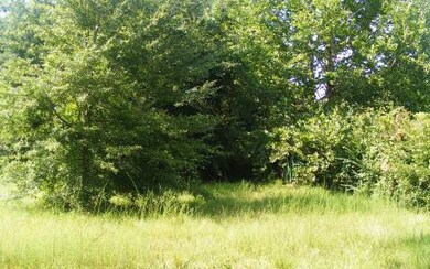 unlisted-address, Lake City, FL 32055 - photo 3