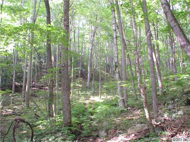 unlisted-address, Burnsville, NC 28714 - photo 6