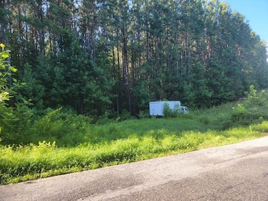 626 Double Bridges Rd unit 27B, Lunenburg, VA 23947 - photo 7